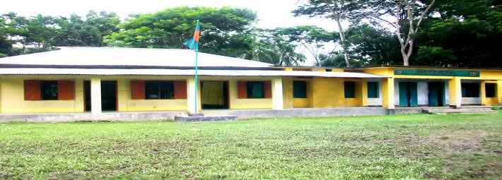 Facebook Post Design